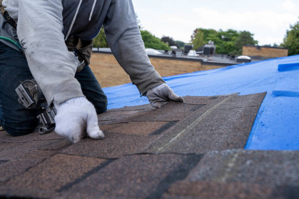 Roof Gutter Cleaning in West Bountiful, UT